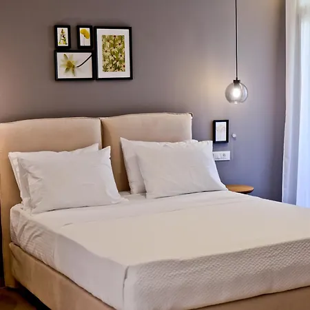 Akron -member Of My Hospitality Hotel