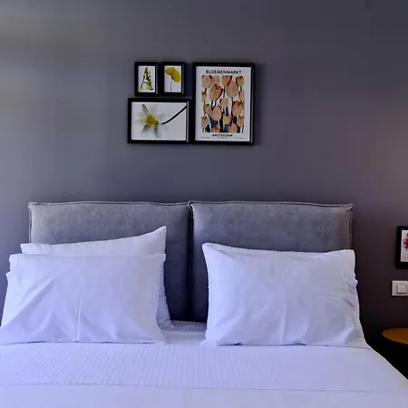 Akron -member Of My Hospitality Hotel *